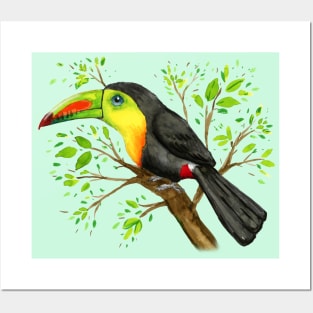 A watercolor drawing of a keel-billed toucan Posters and Art